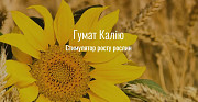 Гумат калію. Суха форма. Київ