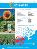 НС-Х-6045 7+ соняшника. Харків