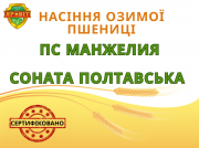 Озима пшениця елітна сертифікована від оригінатора. Полтава